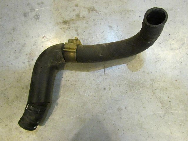 2004 Mazda RX8 Lower Radiator Hose