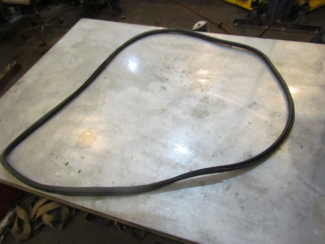 2008 Infiniti G37 Coupe RH Passenger Door Seal-On Body