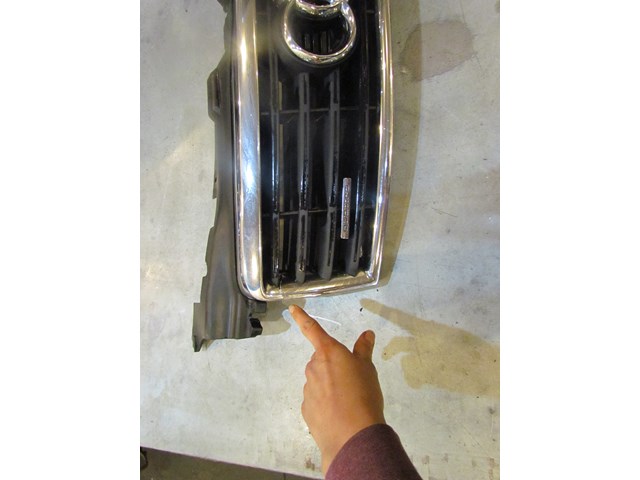 2004 Audi A8L Grille-Read Description