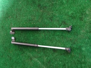 2003 Nissan 350a Hatch Strut Pair Set
