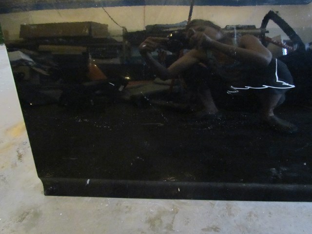 2011 Infiniti G37 Front RH Passenger Door-DAMAGED-AS IS-NO RETURNS