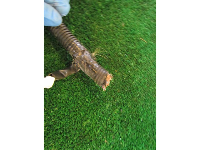 2011 Infiniti G37x RH Body Harness PARTS ONLY 24017 1NF0B