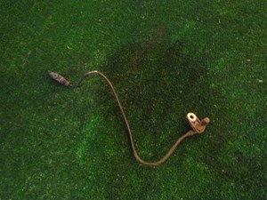 2007 Infiniti G35 RWD Rear RH ABS Sensor