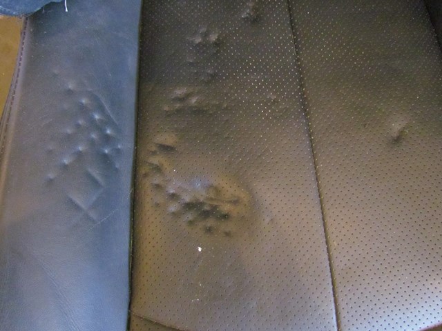 2007 Infiniti G35 Front Passenger Seat Black