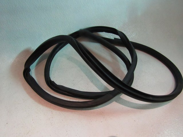 2007 2008 Infiniti G35 Sedan Rear LH Driver Door Seal on Body