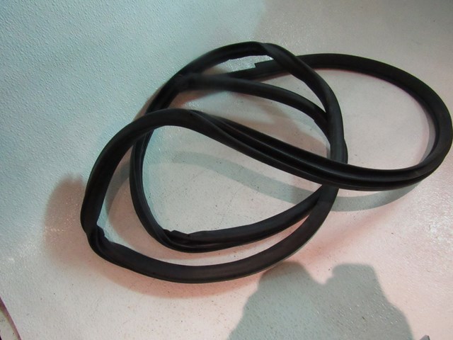 2007 2008 Infiniti G35 Sedan Rear LH Driver Door Seal on Body