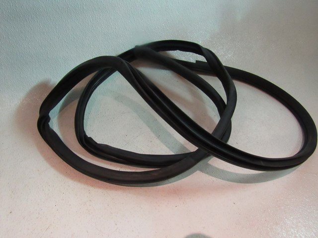 2007 2008 Infiniti G35 Sedan Rear LH Driver Door Seal on Body