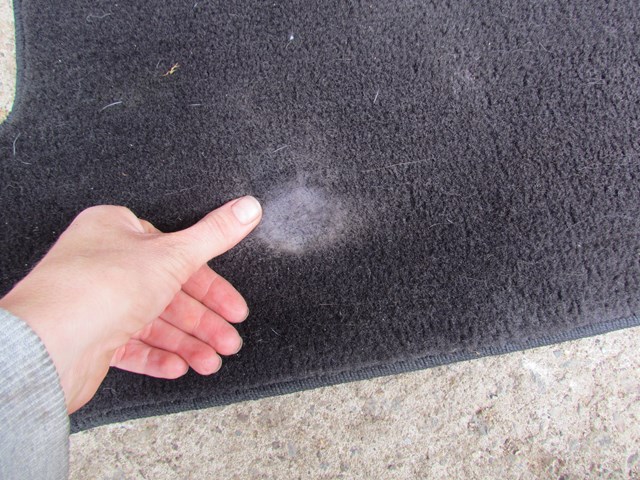 2008 Infiniti G35xs Rear Floor Mat G4900 JK60 See Details