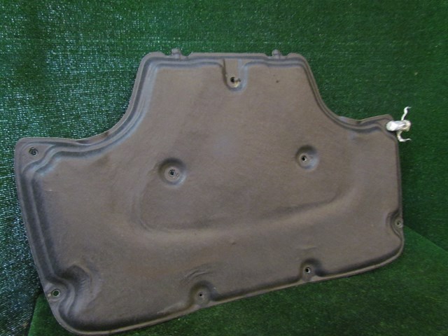 2008 Infiniti G35xs Hood Liner