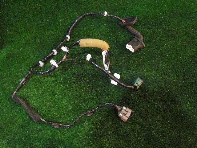 2008 Infiniti G35xS Rear LH Door Wire Harness 24016 1NA0C