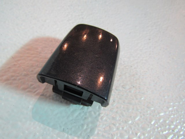 2008 Infiniti G35xS Passenger Door Handle Cover-Platinum Graphite