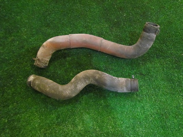 2008 Infiniti G35xS Radiator Hoses