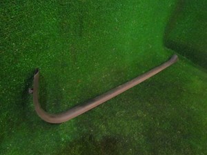 2005 Infiniti G35 Coupe RH Passenger Door SIll 76951 AM800