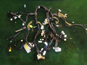 2005 Infiniti G35 Coupe Dash Wire Harness 24010 AC803