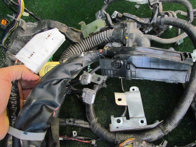 2005 Infiniti G35 Coupe Main Engine Wiring Harness 24011 AM801