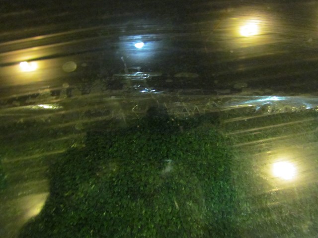 2005 Infiniti G35 Coupe RH Door Glass-Tint Peeling