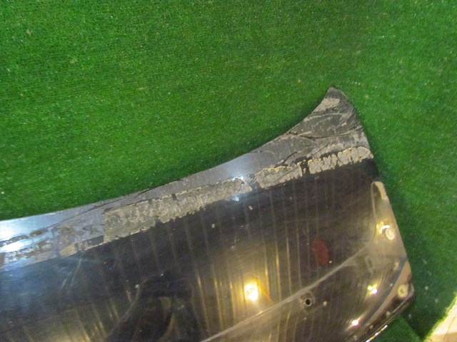 2005 Infiniti G35 Coupe Trunk Lid-See Photos