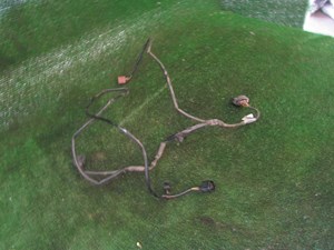 2005 Audi Allroad Front Bumper/Core Support Wiring 4Z7971073B