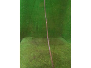 2005 Audi Allroad RH Passenger Roof Weather Seal