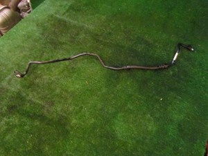 2005 Audi Allroad 4.2 Transmission Oil Pressure Line 4Z7 317 825 B