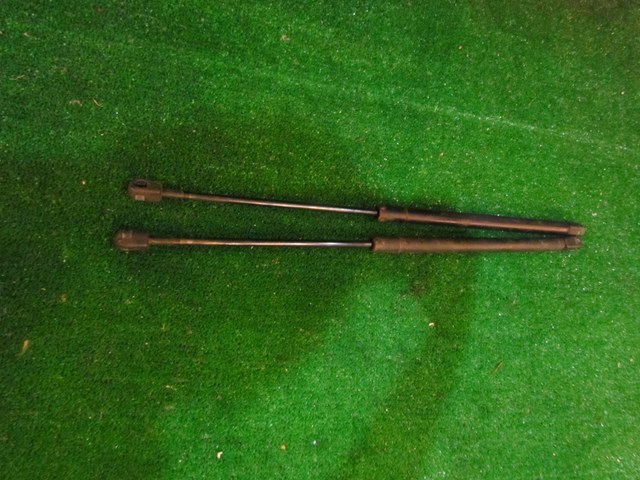 2001 Audi A8L D2 Hood Strut Set