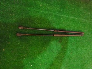 2001 Audi A8L D2 Hood Strut Set