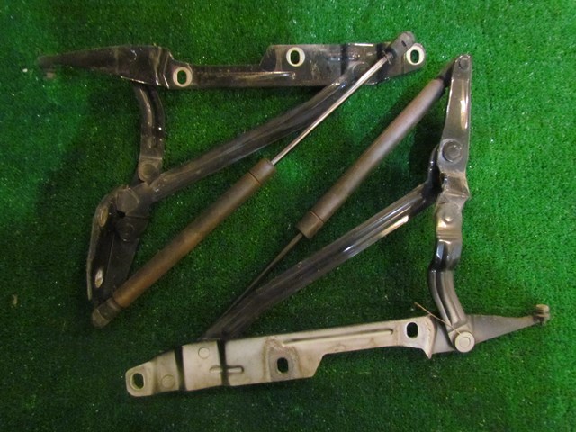 2001 Audi A8L D2 Trunk Hinge & Strut Set