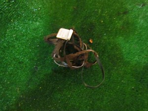 2001 Audi A8l D2 Headliner Wire Harness 4D4 971 100