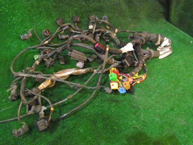 2001 Audi A8L D2 Engine Wire Harness 4D1971713DG