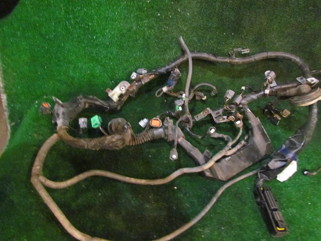 2005 Infiniti G35x Sedan Main Engine Wire Harness