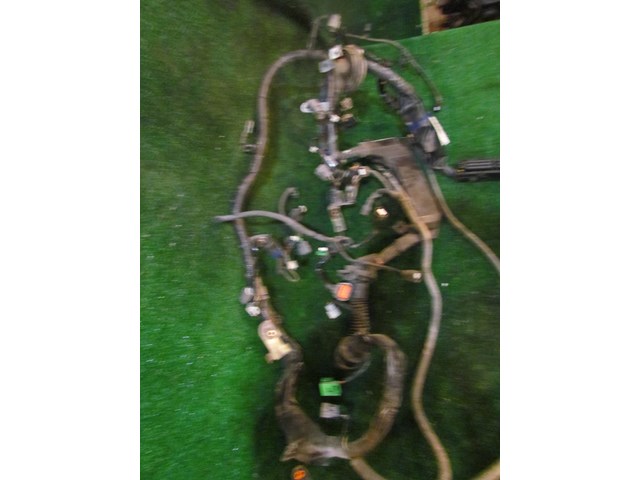 2005 Infiniti G35x Sedan Main Engine Wire Harness