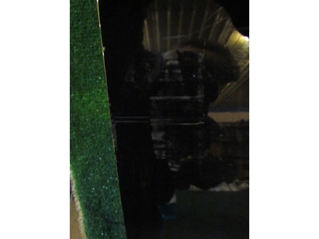 2004 Audi A8L D3 Front RH Passenger Door -See Details