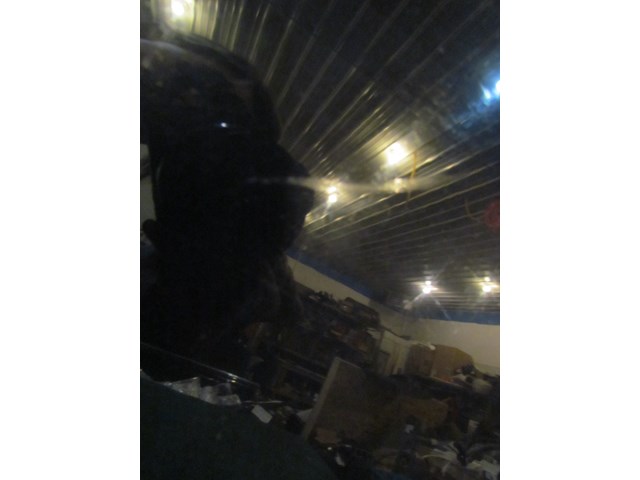 2004 Audi A8L D3 Front LH Driver Door-See Details