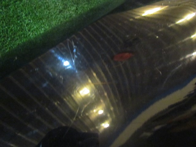 2004 Audi A8L D3 RH Passenger Fender Black (See Details)