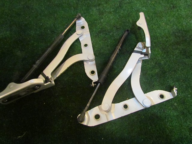2006 Infiniti M35 Trunk Hinges with Struts Set- 84430 EG000