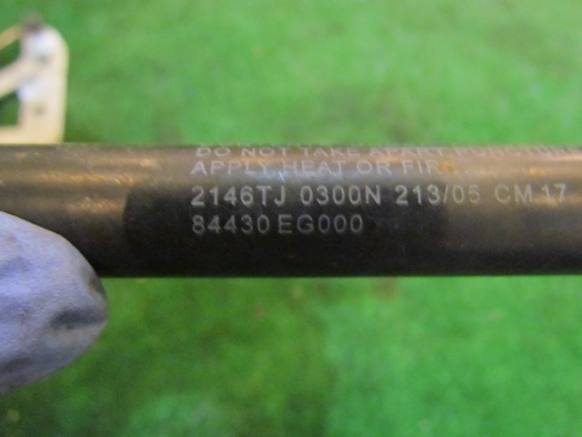 2006 Infiniti M35 Trunk Hinges with Struts Set- 84430 EG000