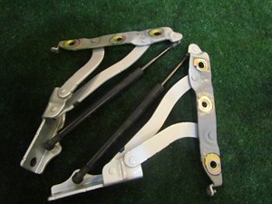 2006 Infiniti M35 Trunk Hinges with Struts Set- 84430 EG000