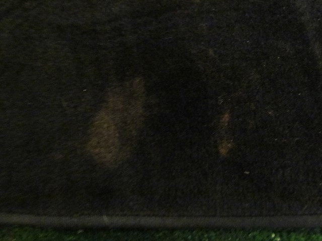 2006 Infiniti M35 Trunk Carpet-See Photos