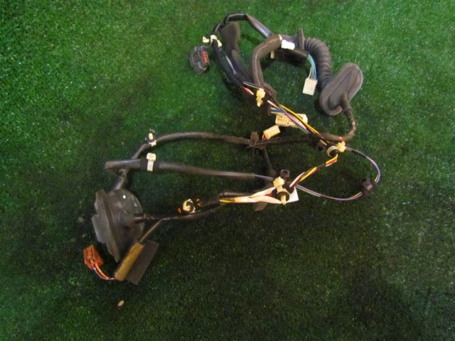 2006 Infiniti M35 Rear RH Passenger Door Wiring 24126 EH103