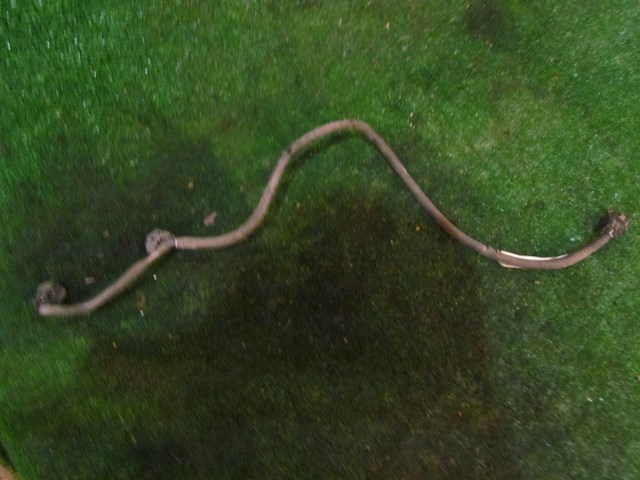 2006 Infiniti M35x Engine Sub Harness 24079 EH000