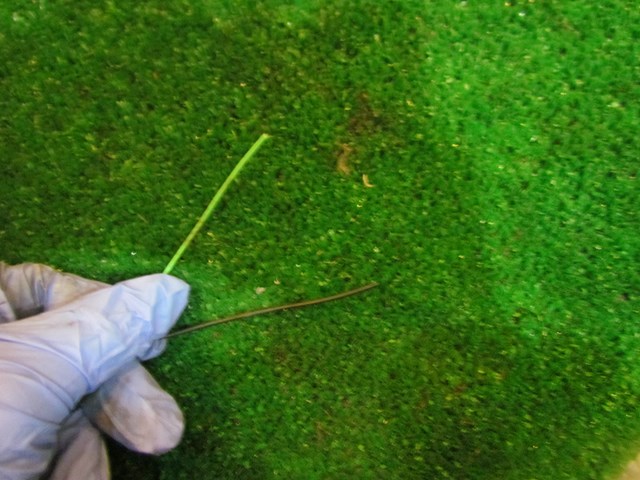 2006 Infiniti M35x Engine Wire Harness