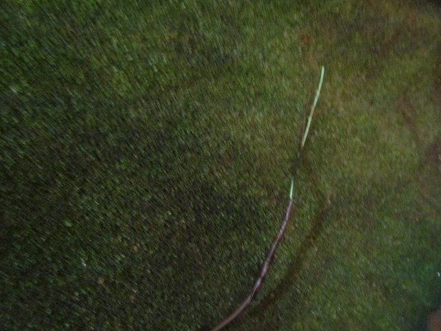 2006 Infiniti M35x Engine Wire Harness