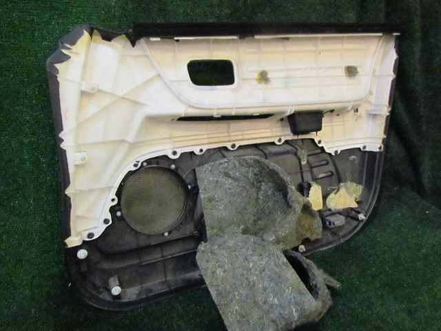 2002 Lexus IS300 Front RH Passenger Door Panel