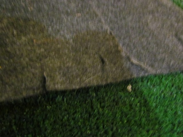 2002 Lexus IS300 Trunk Moulding Trim-See Details