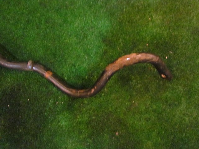2001 Bentley Arnage Front Sway Bar
