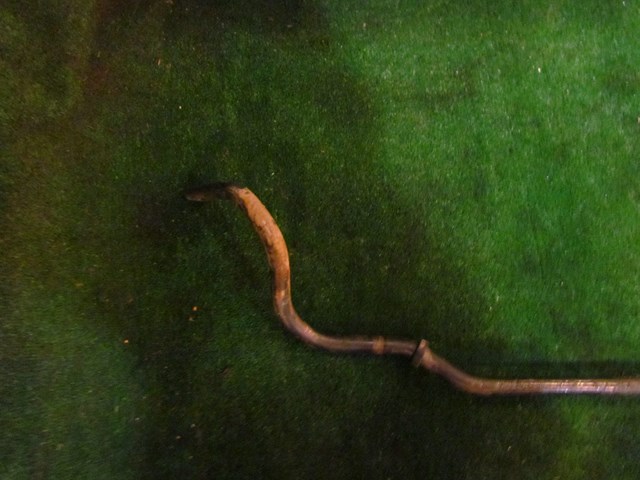 2001 Bentley Arnage Front Sway Bar