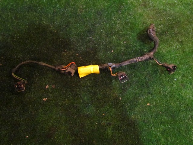  2001 Bentley Arnage 6.8L LH Driver Fuel Rail Wiring