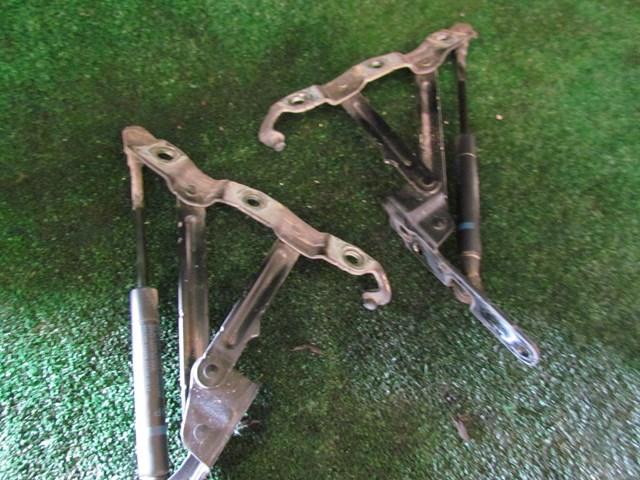 2008 Infiniti G37 Coupe Trunk HInges w/Struts Set