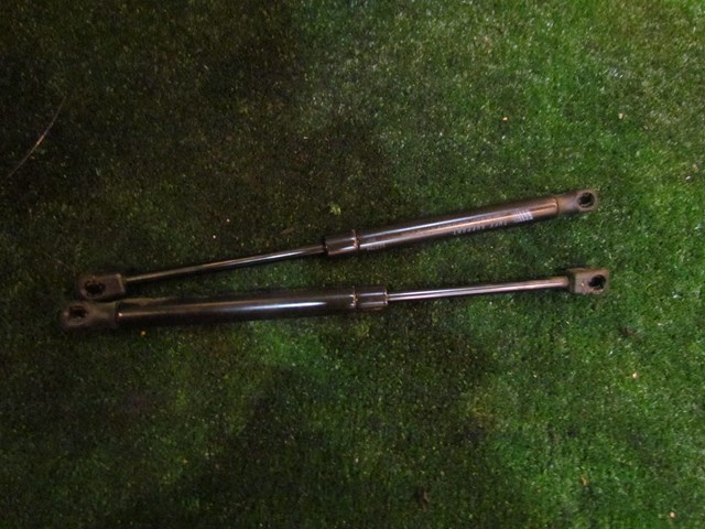 2007 Infiniti G37 Coupe Hood Struts Set