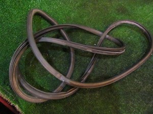 2008 Infiniti G37 Coupe RH Passenger Door Seal on Body